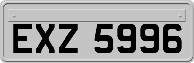 EXZ5996