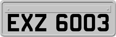 EXZ6003