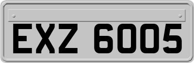 EXZ6005