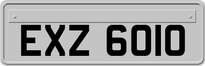 EXZ6010