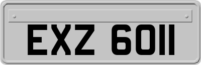EXZ6011
