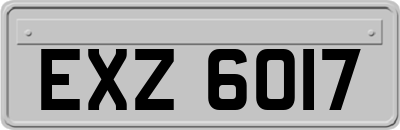 EXZ6017