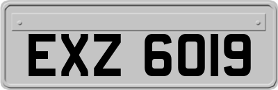 EXZ6019