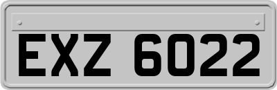 EXZ6022