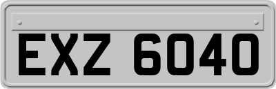 EXZ6040