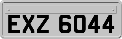 EXZ6044