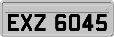 EXZ6045
