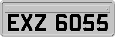 EXZ6055