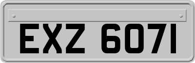 EXZ6071
