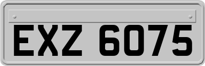 EXZ6075