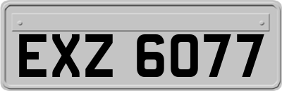 EXZ6077