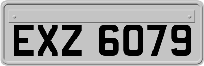 EXZ6079