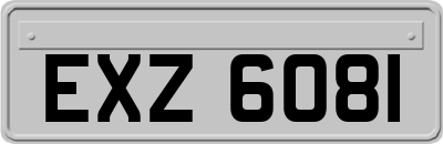 EXZ6081