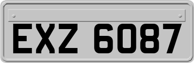 EXZ6087