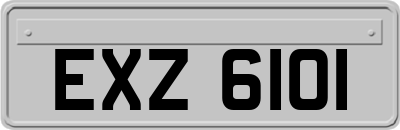 EXZ6101