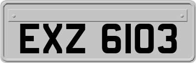 EXZ6103