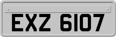 EXZ6107