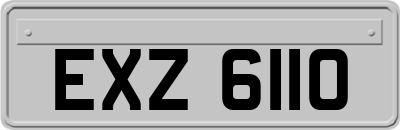 EXZ6110