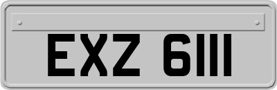 EXZ6111