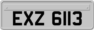 EXZ6113