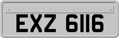 EXZ6116