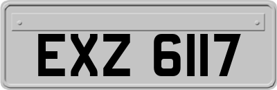 EXZ6117