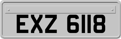 EXZ6118