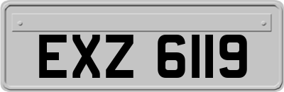 EXZ6119