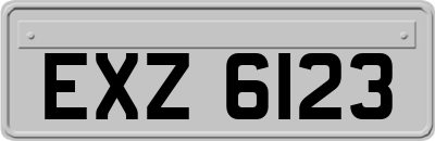 EXZ6123