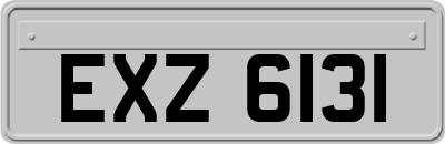 EXZ6131