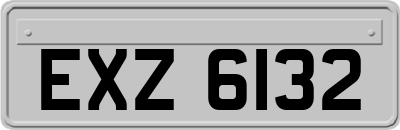 EXZ6132