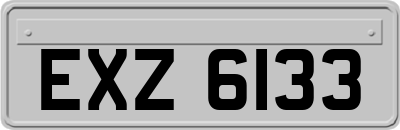 EXZ6133