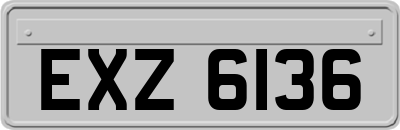 EXZ6136