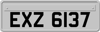 EXZ6137