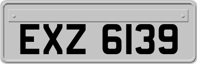 EXZ6139