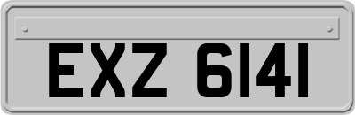 EXZ6141