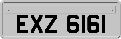 EXZ6161