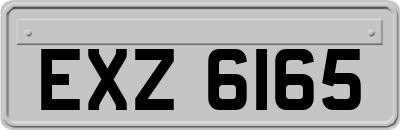 EXZ6165