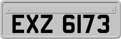 EXZ6173