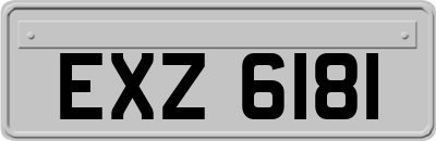 EXZ6181