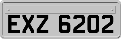 EXZ6202