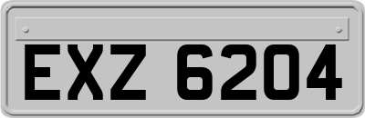 EXZ6204