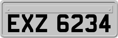 EXZ6234