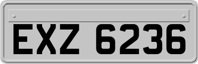 EXZ6236