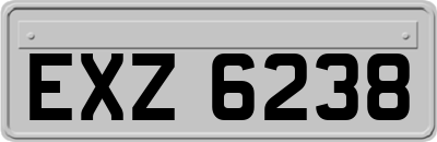 EXZ6238