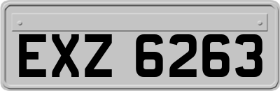 EXZ6263