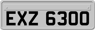 EXZ6300