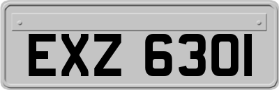 EXZ6301