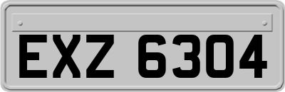 EXZ6304