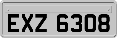 EXZ6308